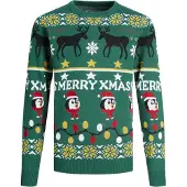 Jack & Jones Jorhoho Knit Sweatshirt Vert 14 Years Garçon
