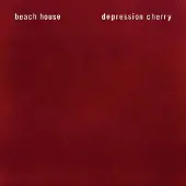 Bertus Distributie Depression cherry