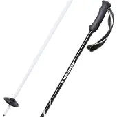 Kästle Allday Ti100 Poles Argenté 120 cm