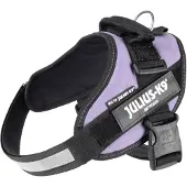 Julius-K9 IDC-Power-harnais avec champ de logo, taille 0 violet
