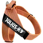 JULIUS K-9 Idc Norwegian Dog Harness Orange L-1