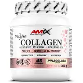 Amix Viscofan 300g Collagen Piña Colada Clair