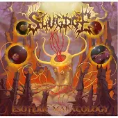 Universal Music Esoteric Malacology Vinyle violet Gatefold Edition Collector