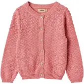 Wheat Cardigan 'Magnella' rose