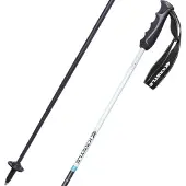 Kästle Piste Ca100 Poles Argenté 115 cm