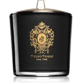 Tiziana Terenzi Bougie parfumée Ecstasy avec mèche en bois avec mèche en bois 500 g