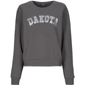 ONLY Sweatshirts ONLJOLANA femmes - Gris - EU L
