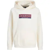 Jack & Jones Sweat à Capuche - JorInwood - Antique White - - 16 ans (176) - Sweat à Capuche