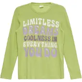 s.Oliver T-Shirt gris / vert clair