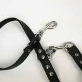 Brekz Laisse en cuir noir pour chien