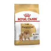 Royal Canin Pomeranian Adult 1.5 kg + Pomeranian Adult Nourriture humide 12x85g