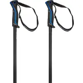 Head Frontside Poles Argenté 130 cm
