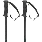 Head Supershape Team Junior Poles Gris 80 cm Garçon