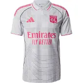 Adidas T-Shirt fonctionnel 'Olympique Lyonnais 25/26' gris clair / rouge cerise
