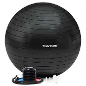 Tunturi Gym Ball Ballon De Gym 90cm Noir