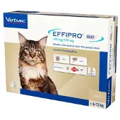 Virbac Effipro Duo Spot-On pour Chat (6-12 kg)
