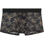 Hom Boxer court