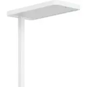 RZB Lampadaire à LED