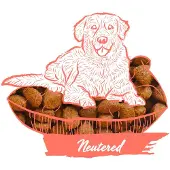 Calibra Expert Nutrition Neutered - 7 kg