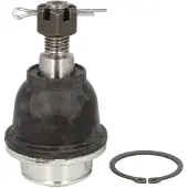 Delphi Support-/ joint