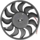 THERMOTEC Ventilateur, refroidissement moteur D8A012TT