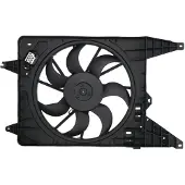 THERMOTEC Ventilateur, refroidissement moteur D8R019TT