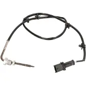 Delphi Palpeur, température des gaz TS30235