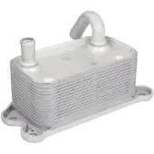 THERMOTEC Radiateur d'huile, huile moteur D4V008TT