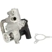Delphi Vanne EGR EG10493-12B1