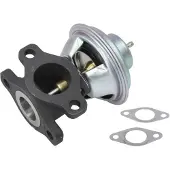 Delphi Vanne EGR EG10623-12B1