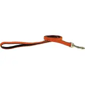 Kentucky Nylon Plaited Dog Leash 15 Mm Orange 15 mm x 200 cm