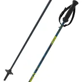 Fischer Rc4 Noize Poles Argenté 110 cm