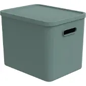 Rotho Boîte de rangement - 27 litres - verte - en plastique - avec couvercle