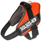 JULIUS K-9 Idc Powair Dog Harness Orange Baby 1