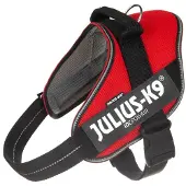 JULIUS K-9 Idc Powair Dog Harness Rouge 2XL-3