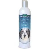 Bio Groom Shampooing Groom n Fresh