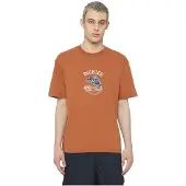 Dickies Dumfries Short Sleeve T-shirt Orange L Homme