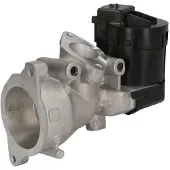 Delphi Vanne EGR EG10591