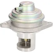 Delphi Vanne EGR EG10525