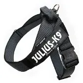 Julius-K9 Idc Mini Norwegian Dog Harness Noir Mini