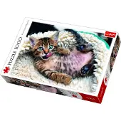 Trefl CREFL Puzzle 1000 JOYEUX CHATON 10448