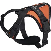 JULIUS K-9 Longwalk Light Dog Harness Orange XS