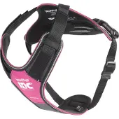 JULIUS K-9 Idc Longwalk Dog Harness Rose XL
