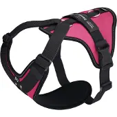 JULIUS K-9 Longwalk Light Dog Harness Rose L