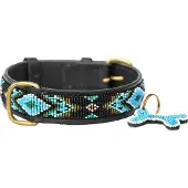 Kampuni Collier pour chien Terese turkis mini, 38x1,9 cm (Chien, Promenade)