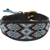 Kampuni Collier de chien Lucher Ombima turkis medium, 53x5,5 cm (Chien)