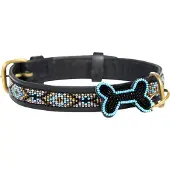Kampuni Collier pour chien Skinny Ombima turkis large, 61x2,1 cm (Chien)