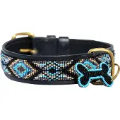 Kampuni Collier pour chien Ombima turkis large, 61x3,8 cm (Chien)