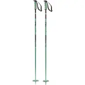 Salomon Steep Poles Vert 120 cm