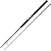 Ugly Stik Canne à lancer Bigwater 270 cm 20-60 g 9 pieds, canne à pêche, canne à lancer 1580518